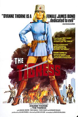 百变马丁大海报剧照